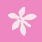 Developh - Tropical Internet Research Fellowship Program logo